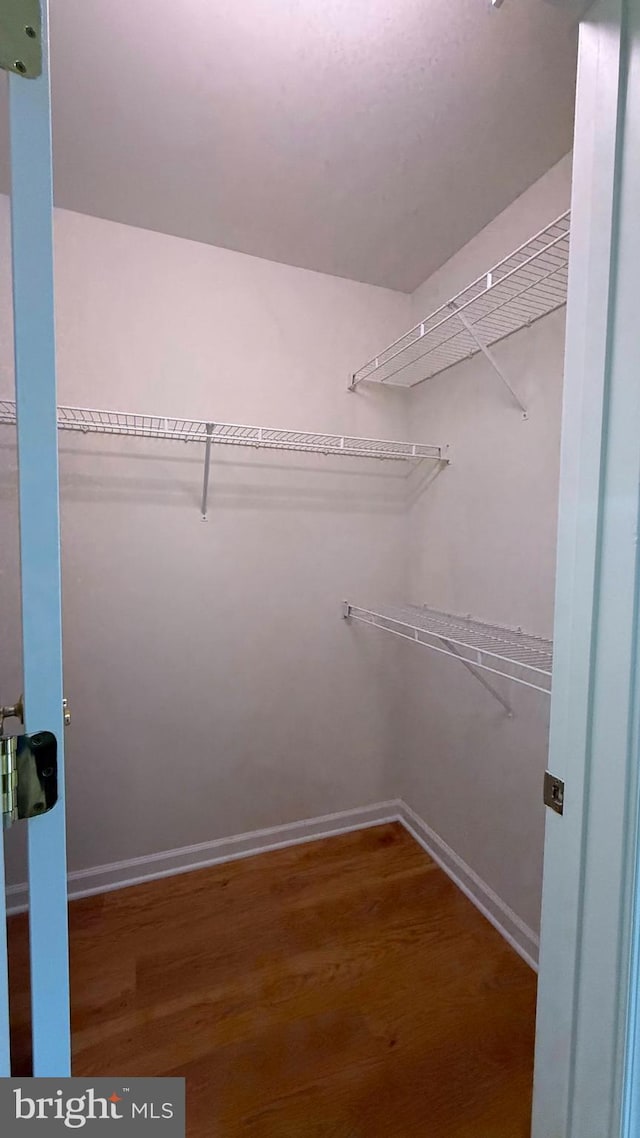 spacious closet featuring wood finished floors