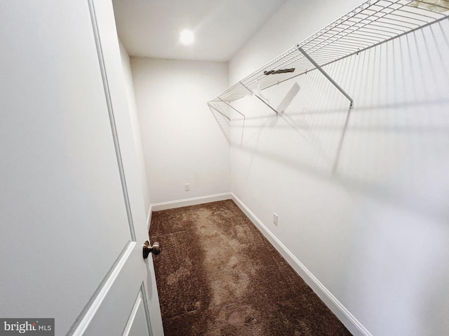 walk in closet with carpet flooring