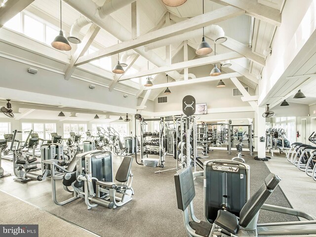 18095 Red Mulberry Rd, Dumfries, VA 22026 - workout area with high vaulted ceiling, plenty of natural light, and beamed ceiling