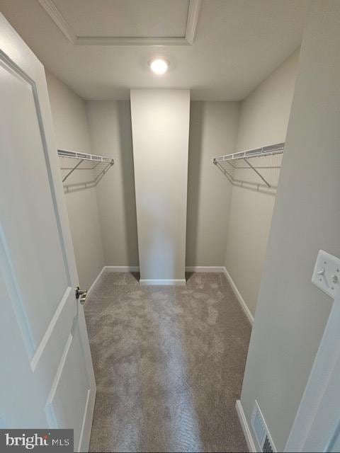 7304 Roxy Run, Clinton, MD 20735 - spacious closet featuring carpet flooring and visible vents
