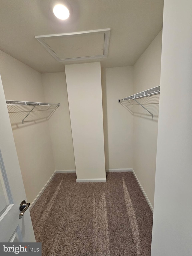 7304 Roxy Run, Clinton, MD 20735 - spacious closet featuring carpet