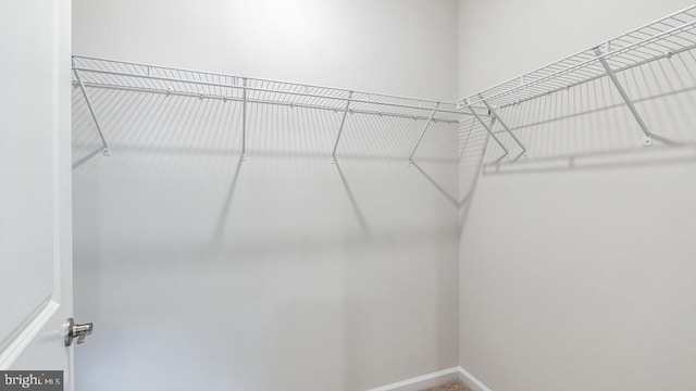 view of spacious closet