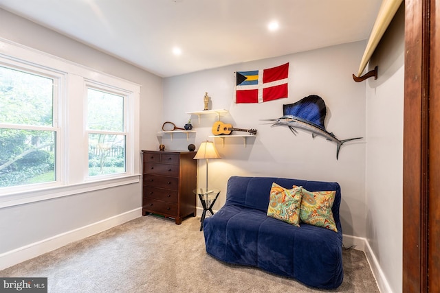 sitting room with baseboards and carpet floors