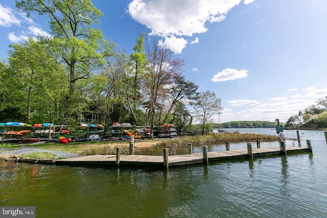 dock area featuring a water view