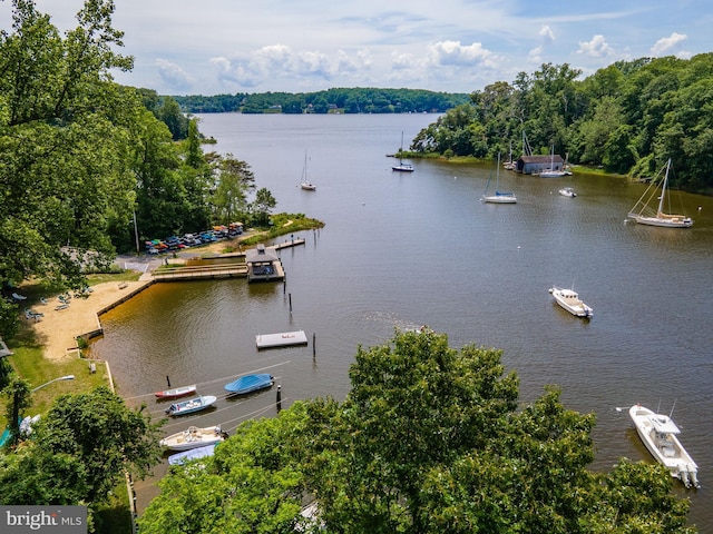 property view of water with a wooded view