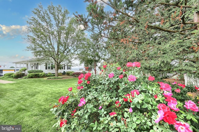 1492 Leonard St, York, PA 17404 - view of green lawn