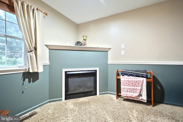 365 Apple Tree Ln, Mount Wolf, PA 17347 - detailed view of carpet floors, a glass covered fireplace, and baseboards