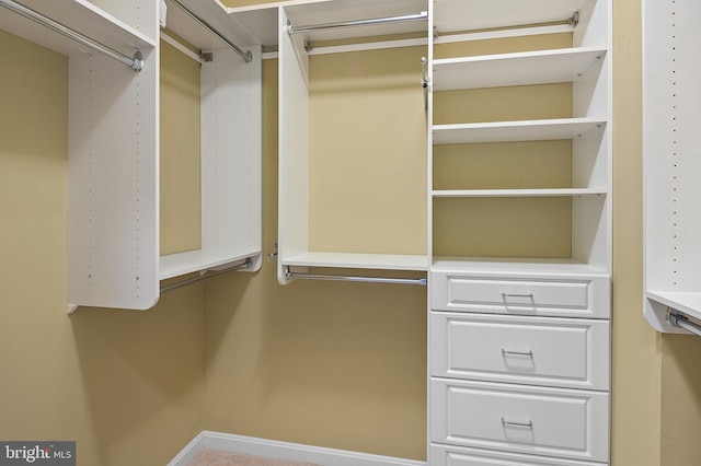 8603 Wintergreen Ct Unit 201, Odenton, MD 21113 - view of spacious closet