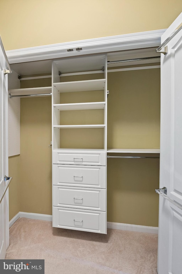 8603 Wintergreen Ct Unit 201, Odenton, MD 21113 - spacious closet featuring light carpet