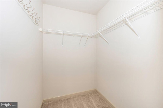 walk in closet with light carpet