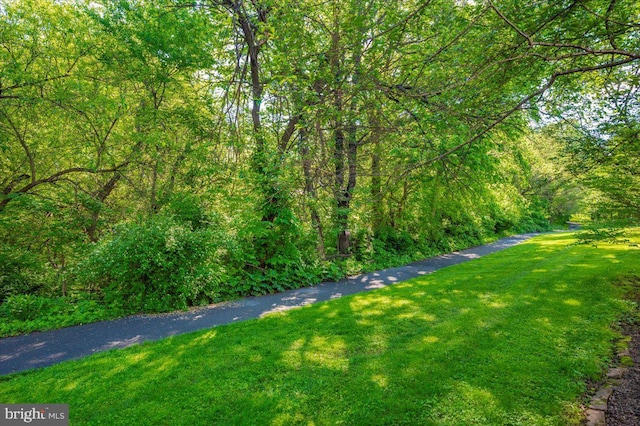 view of home's community with a yard and a wooded view