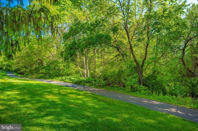 surrounding community featuring a lawn and a wooded view