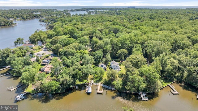 8014 Forest Glen Dr, Pasadena, MD 21122 - drone / aerial view of a heavily wooded area and a large body of water