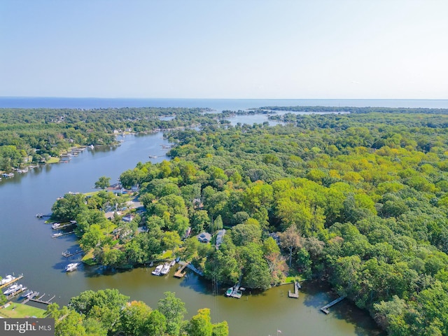 8014 Forest Glen Dr, Pasadena, MD 21122 - bird's eye view of a large body of water and a forest
