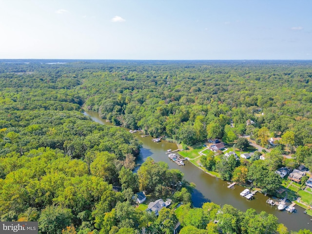 8014 Forest Glen Dr, Pasadena, MD 21122 - aerial view of property and surrounding area with a heavily wooded area and a large body of water