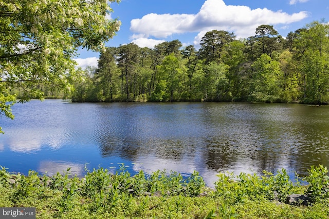 123 Pardee, Browns Mills, NJ 08015 - water view featuring a heavily wooded area