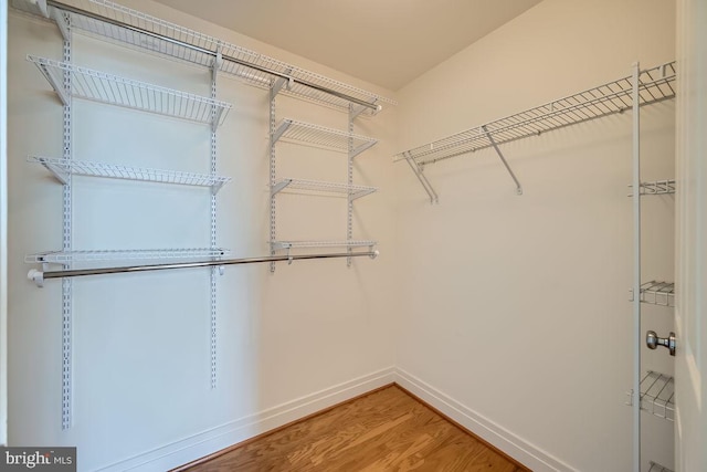 walk in closet with wood finished floors