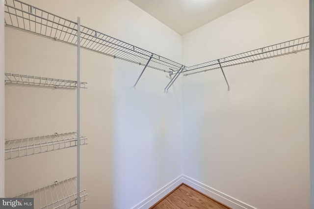 walk in closet featuring wood finished floors