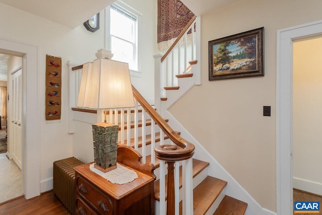 staircase with wood finished floors