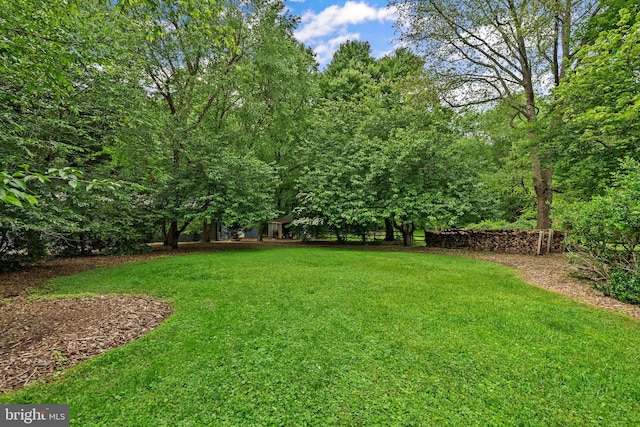 15708 Thompson Rd, Silver Spring, MD 20905 - view of green lawn