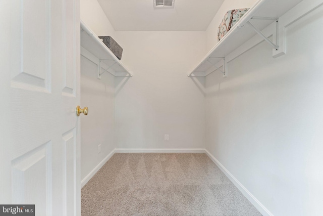 walk in closet featuring carpet flooring