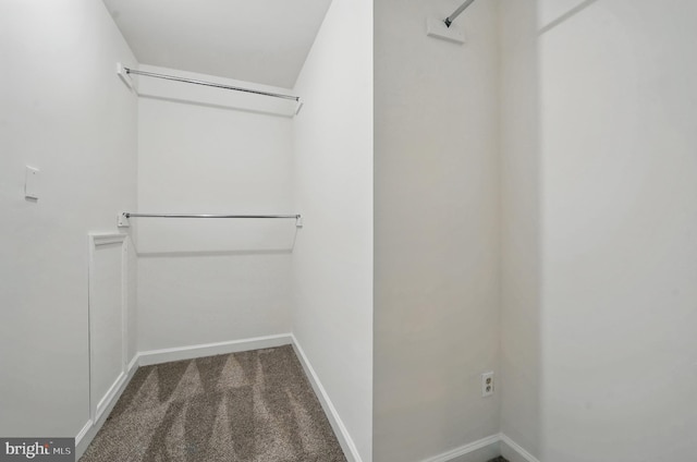 spacious closet featuring carpet flooring
