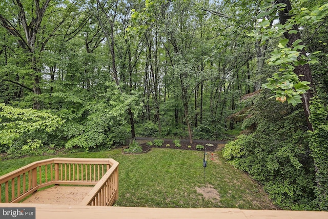 view of grassy yard