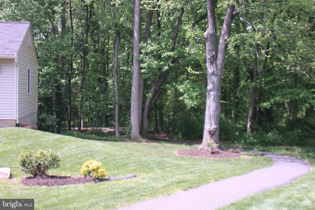 view of green lawn