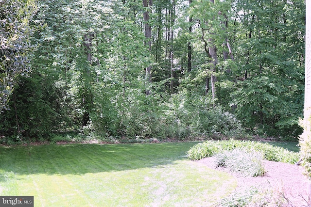 view of grassy yard