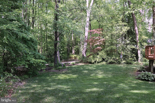 view of green lawn featuring a wooded view