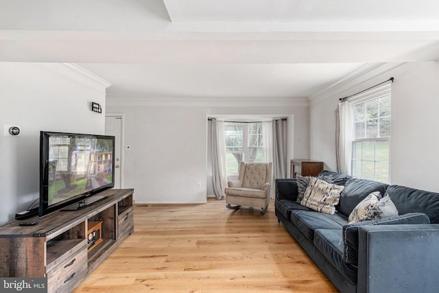 living area featuring crown molding and light wood finished floors