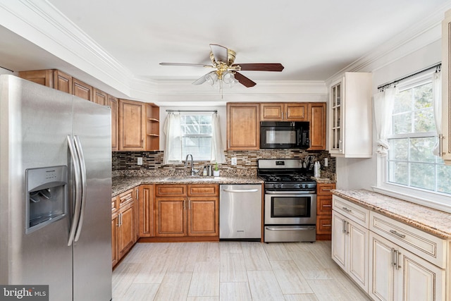 kitchen with appliances with stainless steel finishes, a sink, healthy amount of natural light, light stone counters, and crown molding