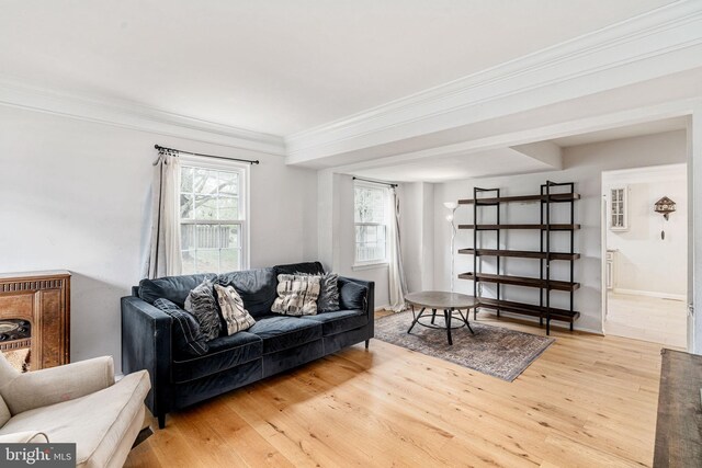 living area with light wood-style floors and crown molding