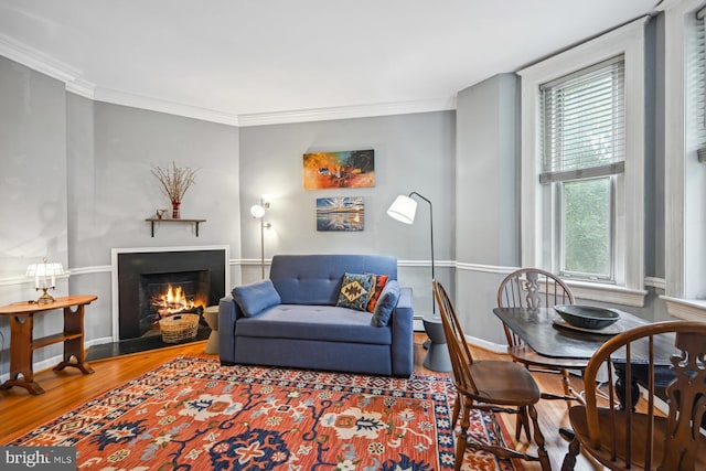 living room featuring ornamental molding, wood finished floors, a wealth of natural light, and a lit fireplace