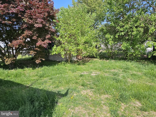 view of yard