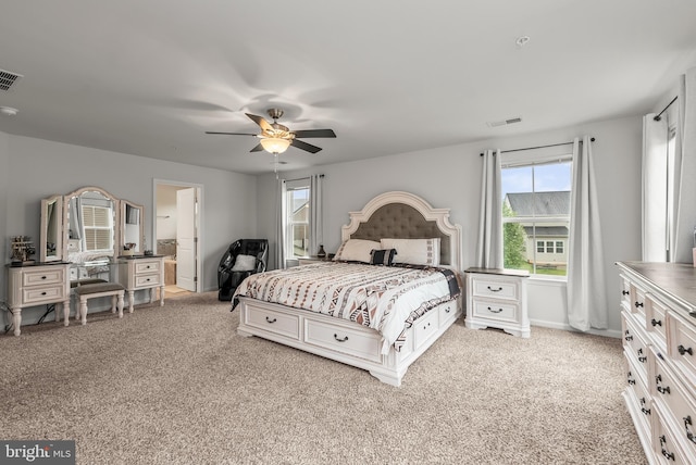8365 Eagle St, Glen Burnie, MD 21060 - bedroom featuring multiple windows, light colored carpet, a ceiling fan, and connected bathroom