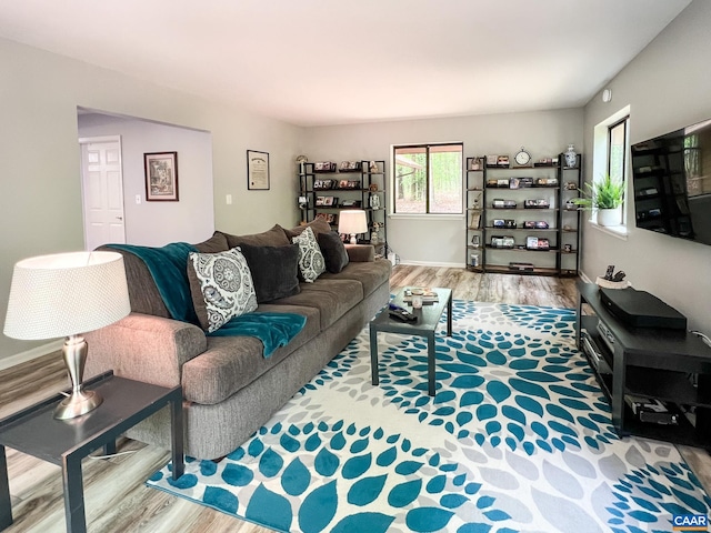 living room featuring wood finished floors
