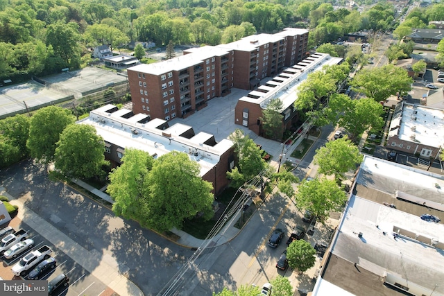 bird's eye view