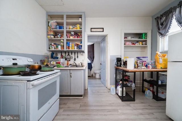 kitchen featuring light wood finished floors, a sink, open shelves, white appliances, and light countertops