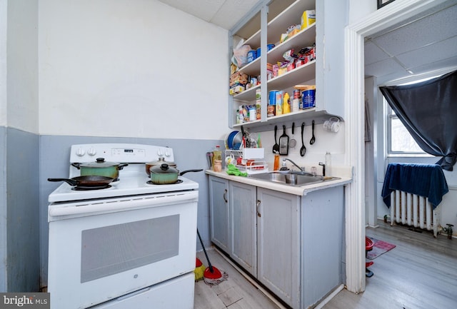kitchen featuring gray cabinetry, radiator, white electric stove, a sink, and light wood-style floors