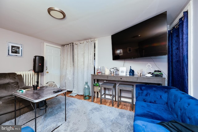 living area featuring wood finished floors
