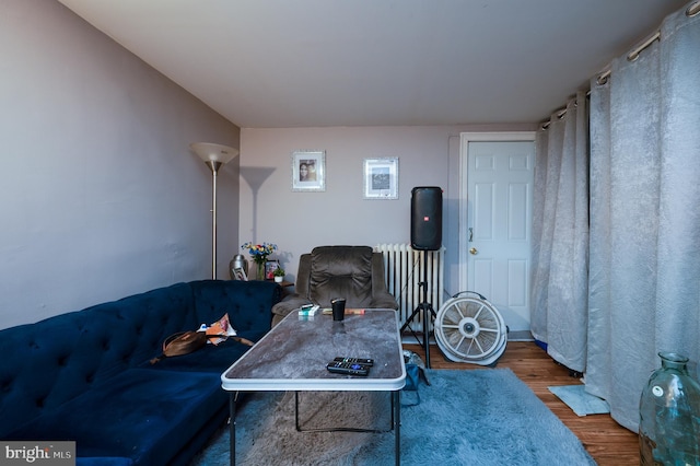 living area with wood finished floors