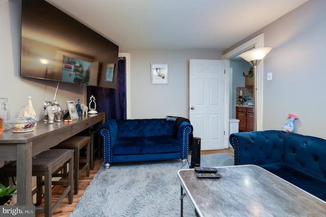 living area featuring wood finished floors