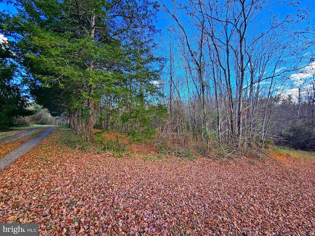 Waugh Rd, Unionville, VA 22567