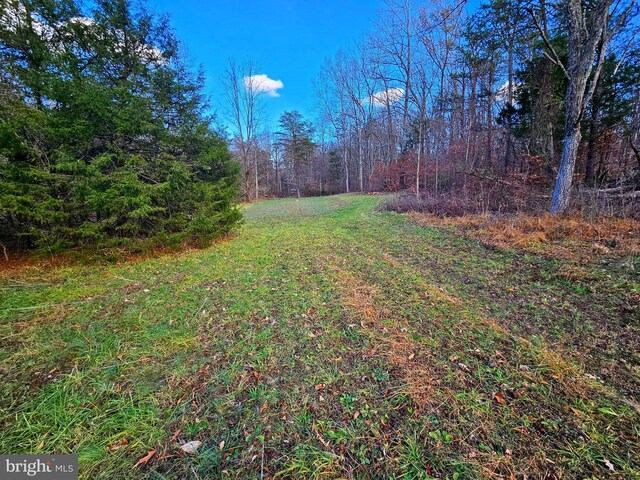 Waugh Rd, Unionville, VA 22567