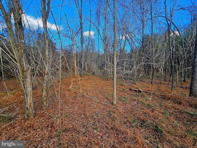 Waugh Rd, Unionville, VA 22567