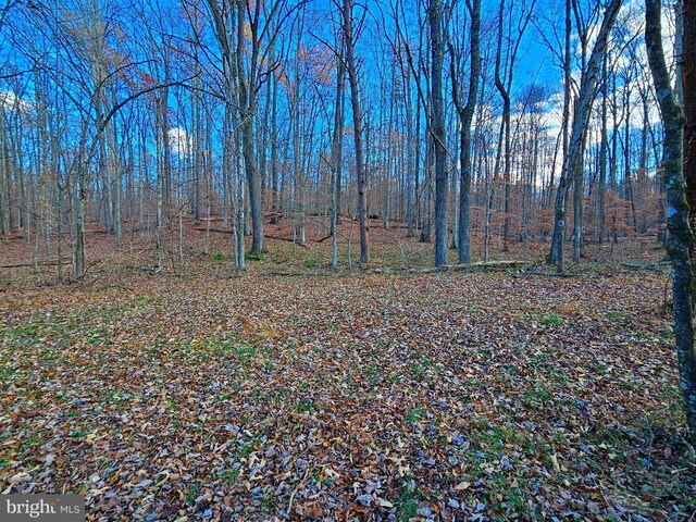 Waugh Rd, Unionville, VA 22567
