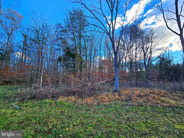 Waugh Rd, Unionville, VA 22567