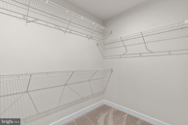 3150 Dodder Way, Odenton, MD 21113 - walk in closet with carpet