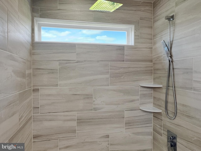 77 Iris Way, Charles Town, WV 25414 - full bath featuring a tile shower
